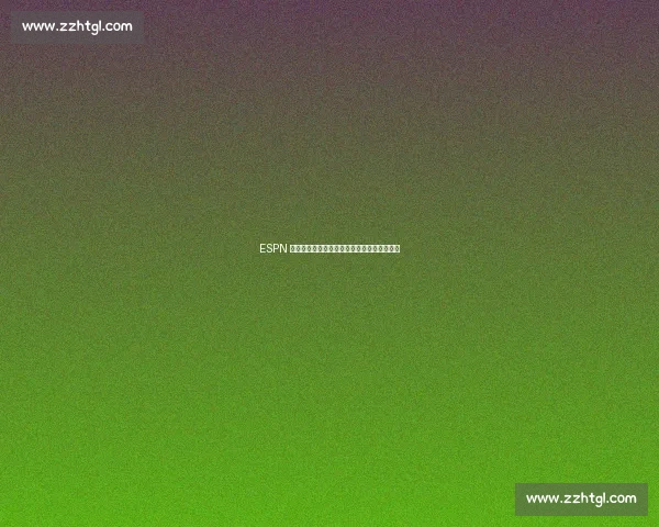 ESPN 制片人钦点詹姆斯：退役后或成战术分析标杆